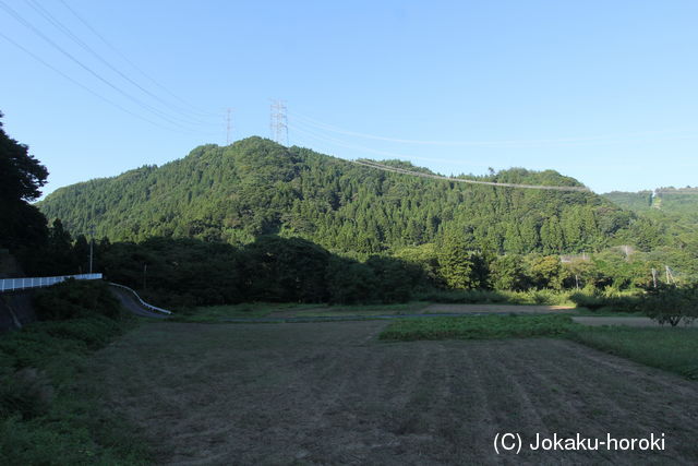 上野 仙蔵城の写真