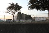 上野 下田島城の写真