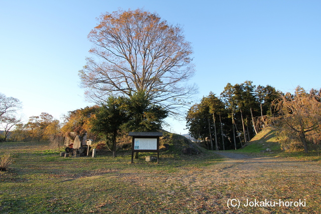 上野 白井城の写真