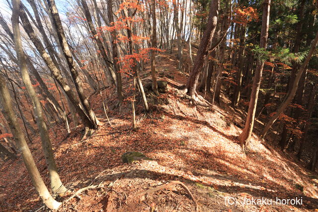 上野 尻高城の写真