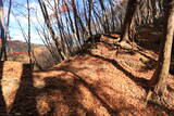 上野 尻高城の写真