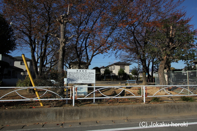 上野 総社城の写真