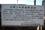 上野 総社城の写真