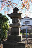 上野 総社城の写真