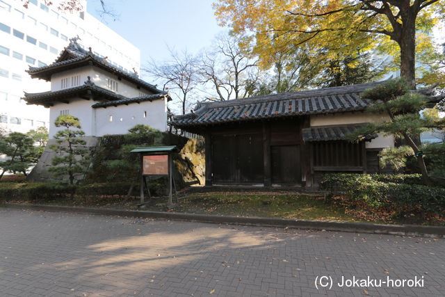 上野 高崎城の写真