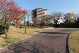 上野 高崎城の写真