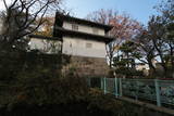 上野 高崎城の写真