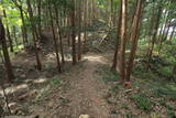 上野 鷹留城の写真