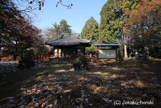 上野 高津戸城の写真