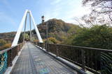 上野 高津戸城の写真