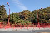 上野 高津戸城の写真