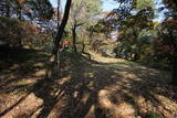 上野 高津戸城の写真