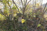 上野 高山城(百間築地)の写真