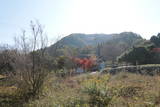 上野 高山城(百間築地)の写真