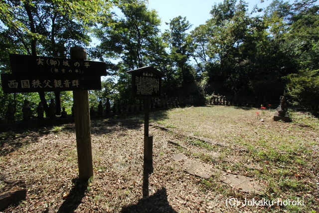 上野 嵩山城の写真