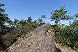 上野 嵩山城の写真