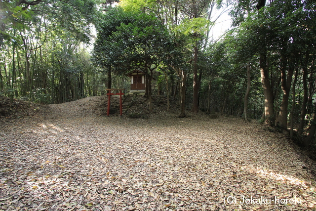 上野 内匠城の写真