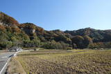 上野 棚下の砦の写真
