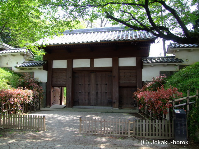 上野 館林城の写真