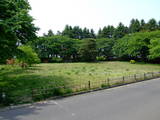 上野 館林城の写真