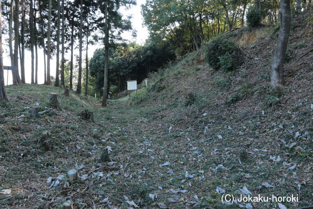 上野 寺尾茶臼山城の写真