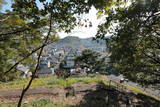 上野 寺尾茶臼山城の写真