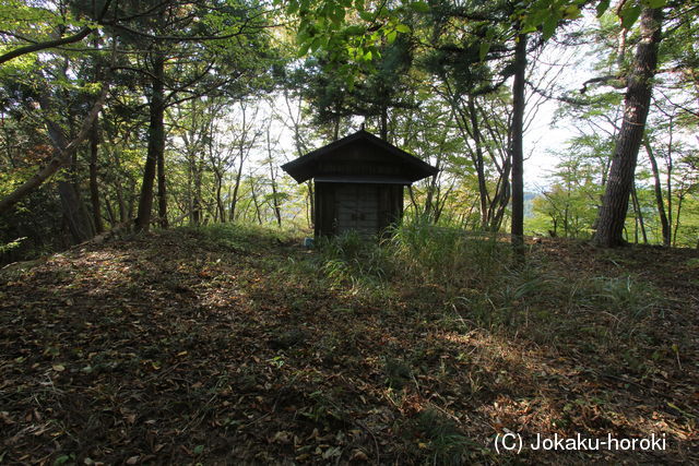 上野 天狗山の砦の写真