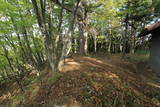 上野 天狗山の砦の写真