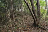 上野 天狗山の砦の写真