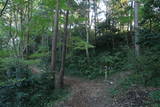 上野 寺尾中城の写真