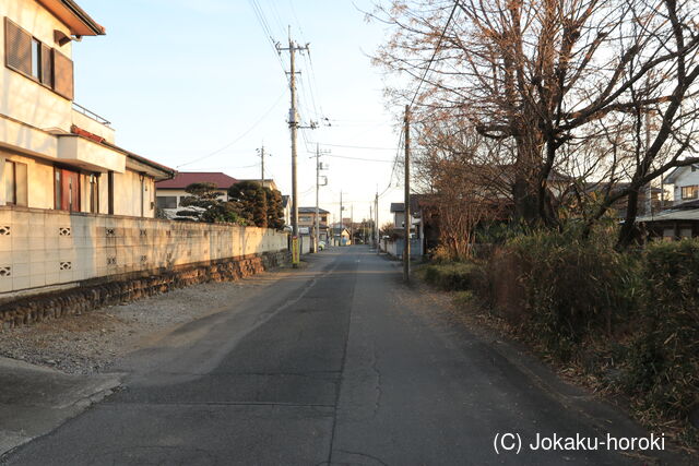 上野 鳥山城の写真