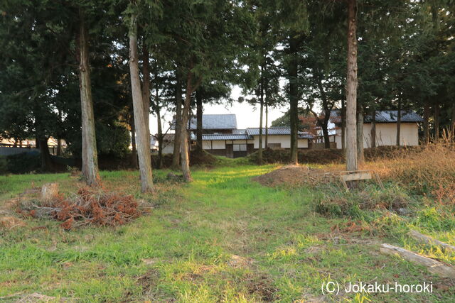 上野 鳥山館の写真