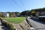 上野 津久田城の写真