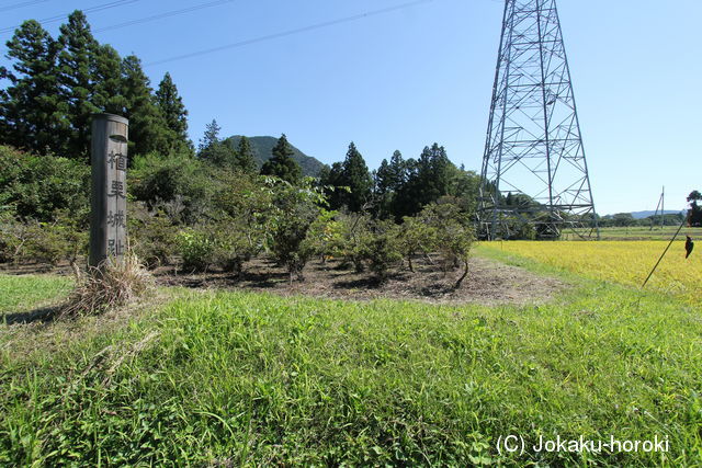 上野 植栗城の写真