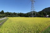 上野 植栗城の写真