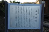 上野 梅原館の写真