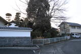 上野 牛沢城の写真
