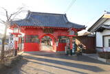 上野 綿打館の写真