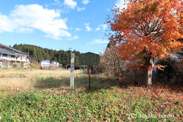 上野 役原城の写真