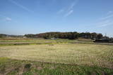 上野 山上城の写真