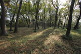 上野 山上城の写真