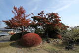 上野 山上城の写真