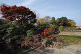上野 山上城の写真