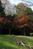 上野 山上城の写真