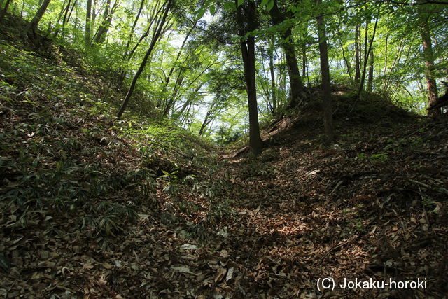 上野 柳沢城の写真