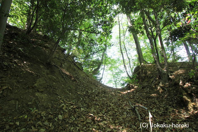 上野 八束城の写真