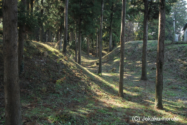 上野 膳城の写真