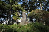上野 膳城の写真