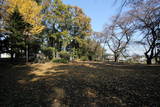 上野 膳城の写真