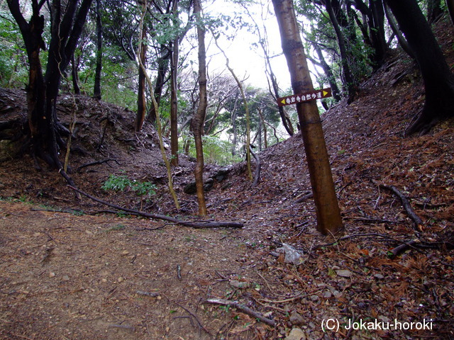 三河 赤岩城の写真